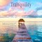 Tranquility | 2026 12 x 24 Inch (Hanging) Monthly Square Wall Calendar | Plastic-Free